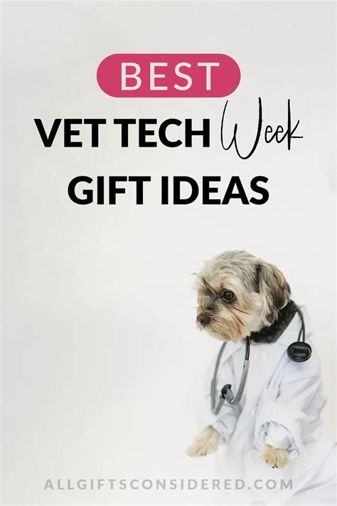 10 Gift Ideas For Vet Techs