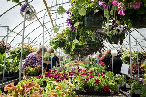 5 Deals At Hennepin Tech Plant Sale