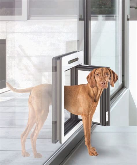 5 Essential Hi Tech Pet Door Parts