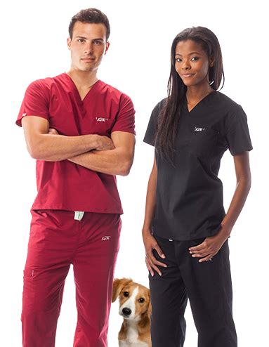 5 Essential Scrubs For Vet Techs