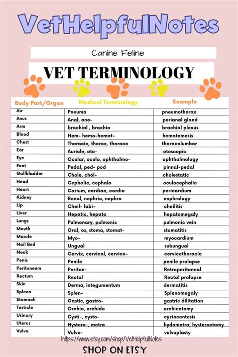 5 Essential Vet Tech Cheat Sheets