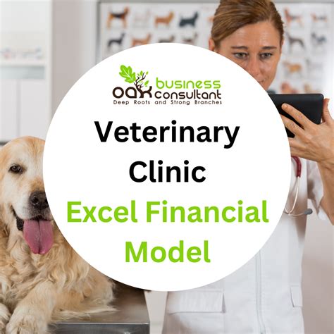 5 Ways Crestview Vet Clinic Excels In Pet Care