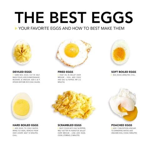 5 Ways Egg Technology Is Revolutionizing Food