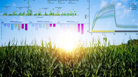 5 Ways Jr Crop Tech Boosts Farming Efficiency