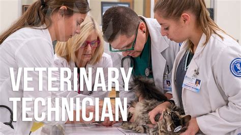 5 Ways Macomb Community College Prepares Vet Techs