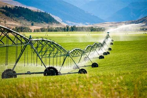 5 Ways River Tech Enhances Irrigation Systems