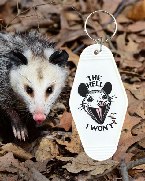 5 Ways Texas Techs Possum Mascot Won Hearts