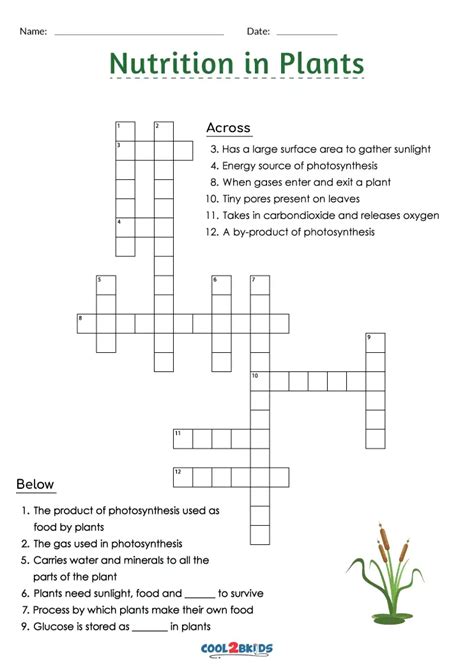 5 Ways To Solve Apple Processing Plant Crossword