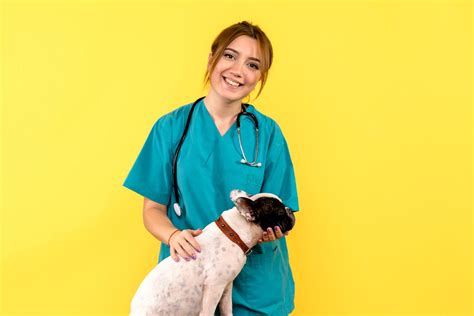 5 Ways Vet Techs Can Succeed In Pet Sitting