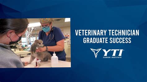 6 Benefits Of Yti Vet Tech Program