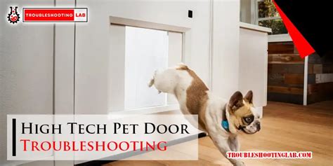 7 Common Hi-Tech Pet Door Troubleshooting Tips