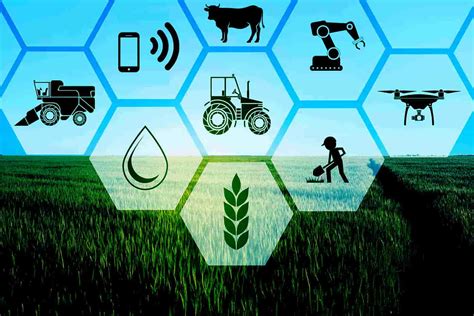 7 Essential Ag Tech Services For Farmers