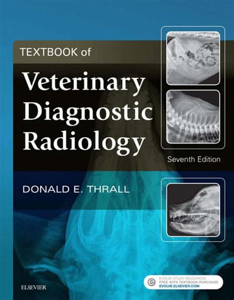 7 Essential Skills For Vet Techs In Radiology