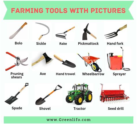 7 Essential Tools In A Farm Tech Catalog