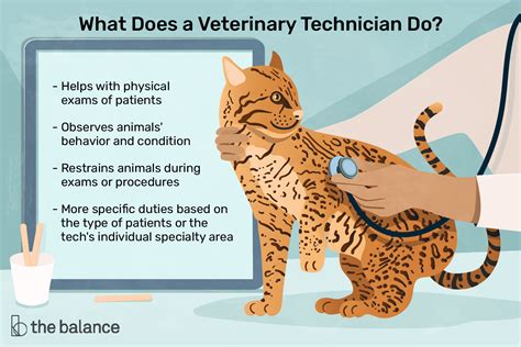 7 Non-Clinical Careers For Vet Techs