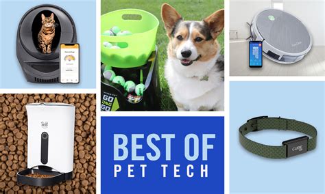 7 Pet Tech Products You Need To Know