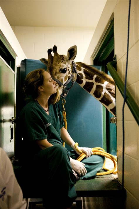 7 Steps To Become A Zoo Vet Tech