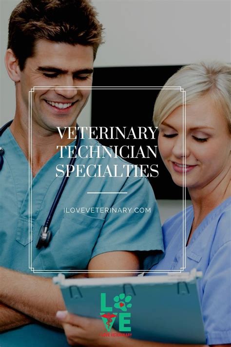 7 Vet Tech Specialities You Need To Know