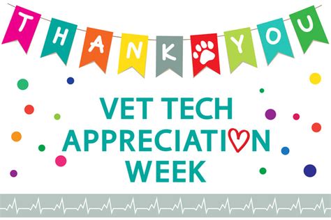 7 Ways To Celebrate Vet Tech Appreciation Week