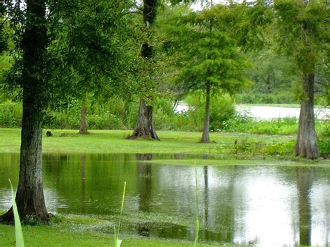 Bayou Teche Casino: Louisianas Hidden Gem For Gamblers