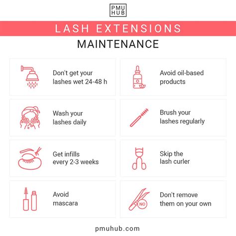 Become A Lash Tech In Illinois: A Step-By-Step Guide