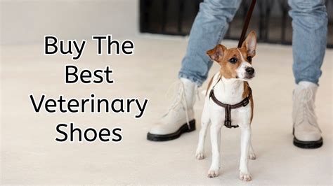 Best Shoes For Vet Techs On Their Feet All Day