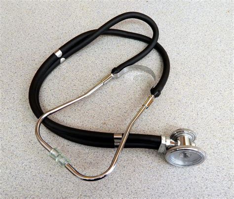 Best Stethoscope For Vet Techs