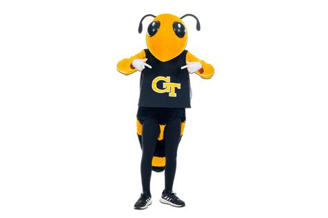 Buzz The Yellow Jacket: Georgia Techs Lovable Mascot Animal