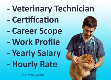 California Vet Tech Salaries: 5 Figures To Expect