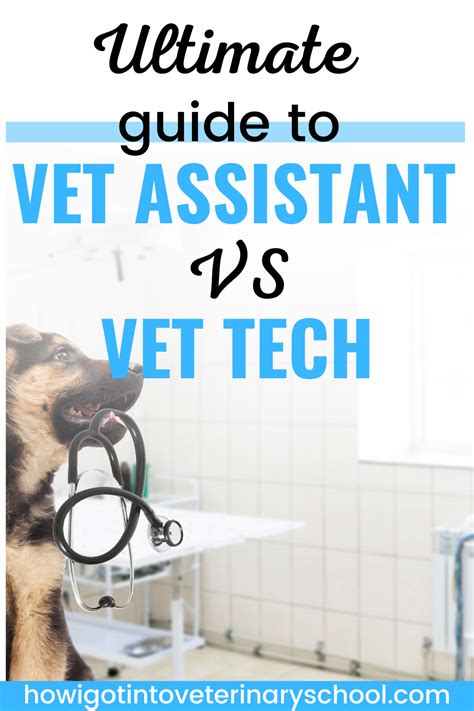 Dallas College Vet Tech Program Overview And Requirements