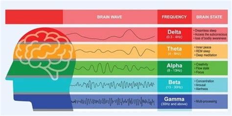 Eeg Tech: Unlocking The Secrets Of Brain Function