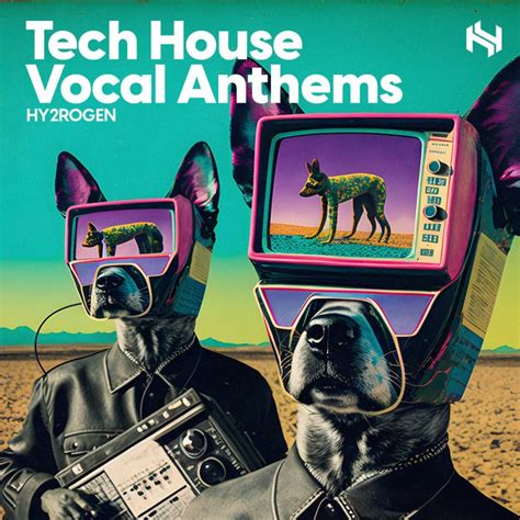 Elevate Your Tracks With Tech House Vocals