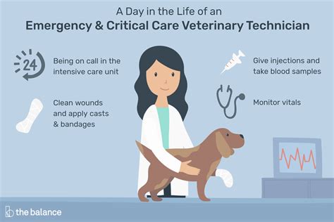 Emergency Vet Tech: Expert Care In Critical Situations