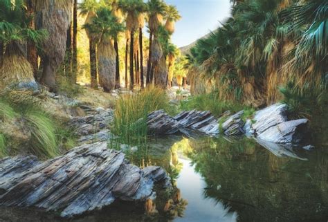 European Hi-Tech Oasis: Palm Springs Innovations