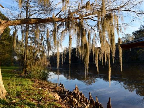 Explore Bayou Teche Scenic Byway In Louisiana