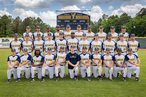 Fdtc Stingers Baseball Roster And Player Profiles