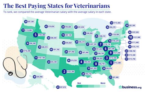 Florida Vet Tech Salaries: Top Paying Cities Revealed