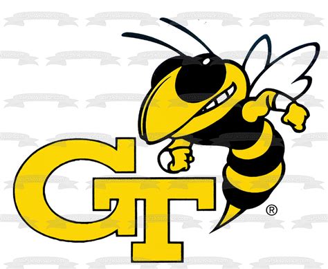 Georgia Tech Starter Jacket Ultimate Buying Guide