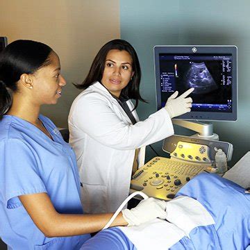 Gwinnett Techs Ultrasound Program: Hands-On Training And Success