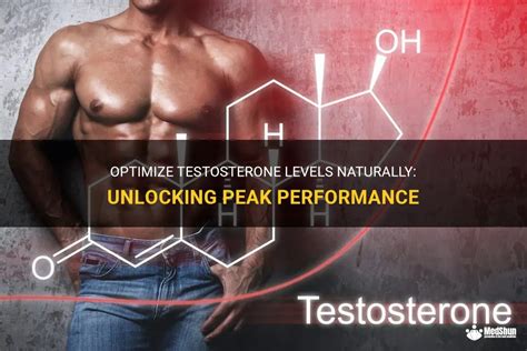 Hi Tech Testosterone: Unlocking Peak Performance Naturally