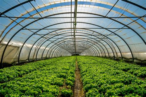 High Tech Greenhouse Project: Sustainable Farming Of The Future