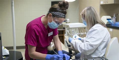 Ivy Tech Dental Assisting Program: A Path To Success