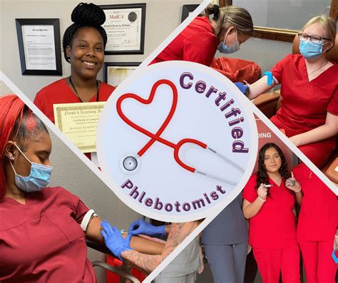 Ivy Tech Phlebotomy Program: Train For A Rewarding Career