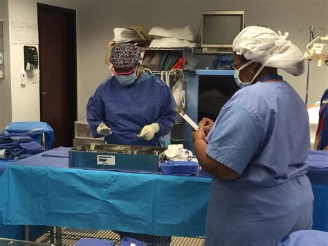 Keiser University Surgical Tech Program Overview And Requirements