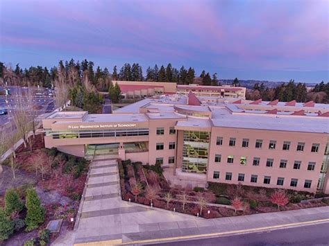 Lake Washington Institute Of Technology Nursing Programs