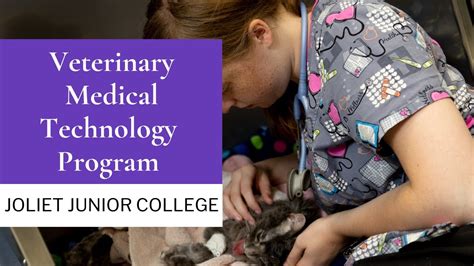 Lone Star Vet Tech Program Overview And Benefits