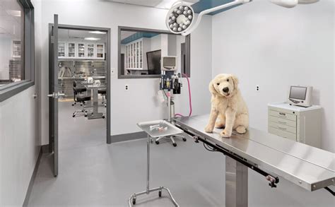 Manor College Veterinary Technology Program Overview