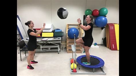 Midlands Tech Physical Therapy Programs And Courses