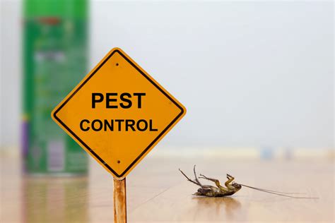 New Tech In Pest Control: Innovative Solutions Arrive