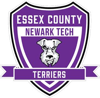 Newark Tech Terriers Baseball Team Overview